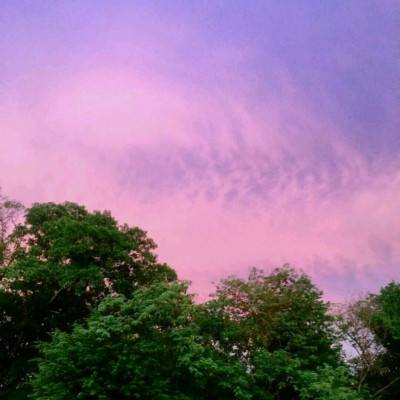 AG九游会app下载