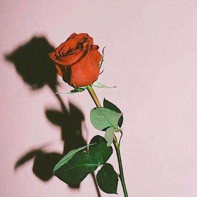 乐鱼官网手机版下载手机版