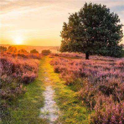 江南体育下载手机app下载截图