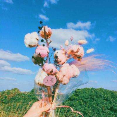 安博体育app下载