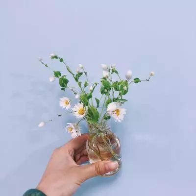 金年会最新官网下载