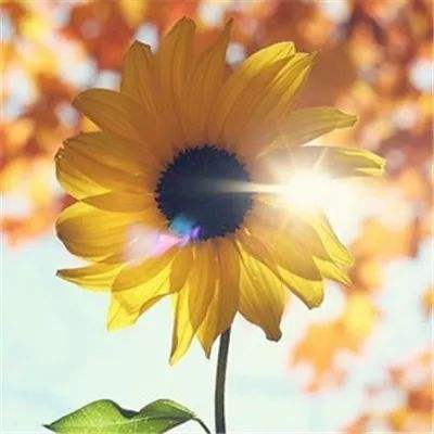 华体会登录手机版